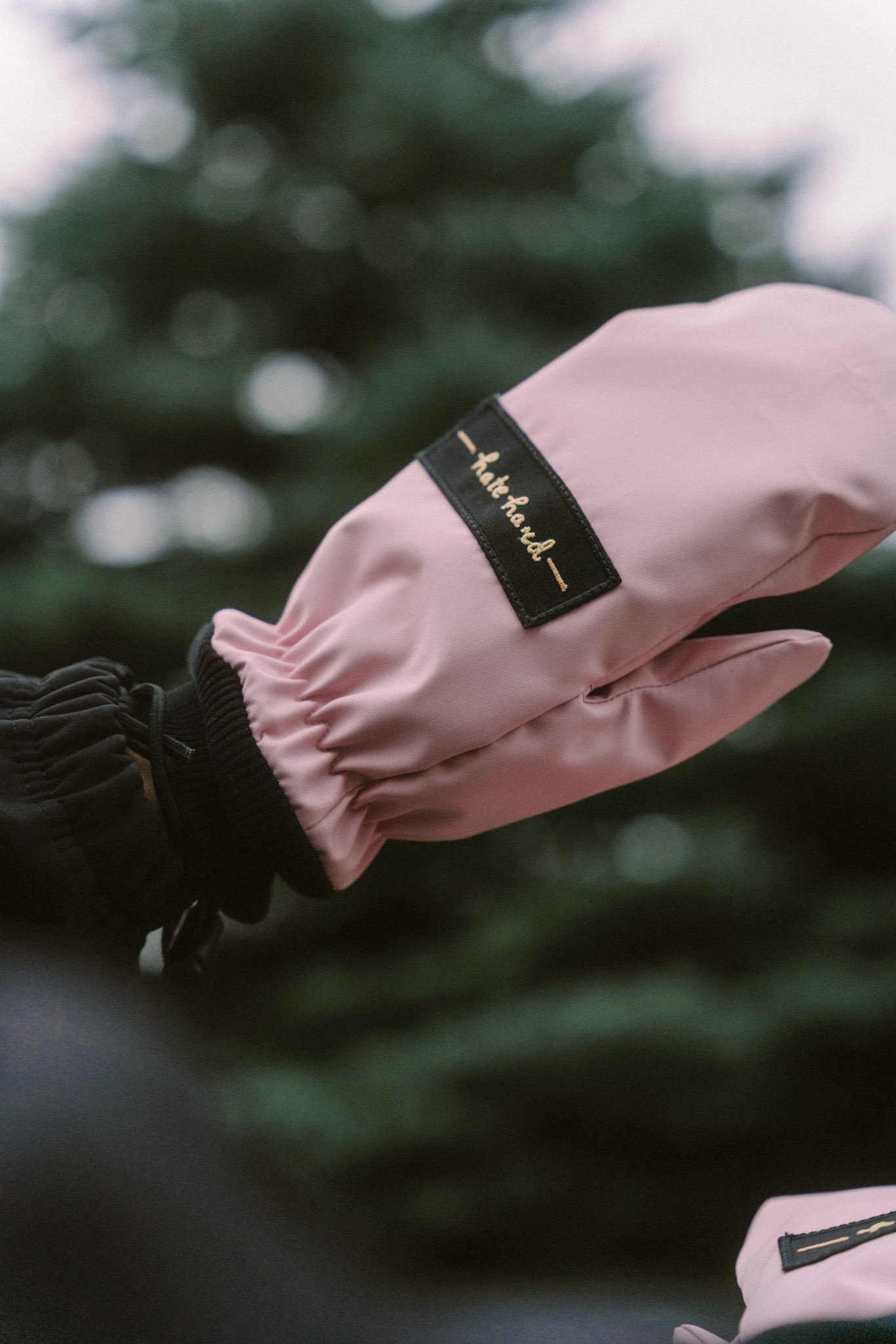 PP GLOVES